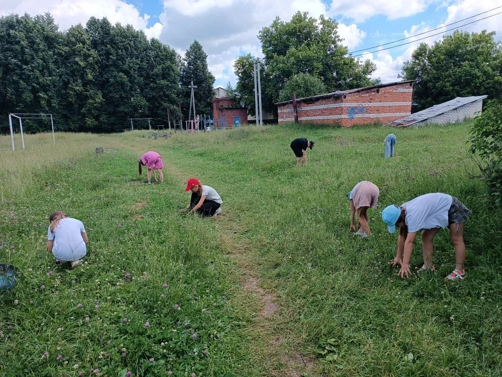🌳 Наш общий дом: как прошёл субботник в школе!

Сегодняшний день в нашем лагере начался с общего и 