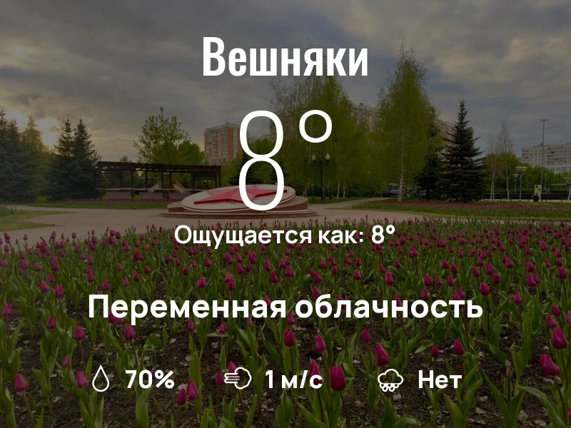 Что с погодой в Вешняках?