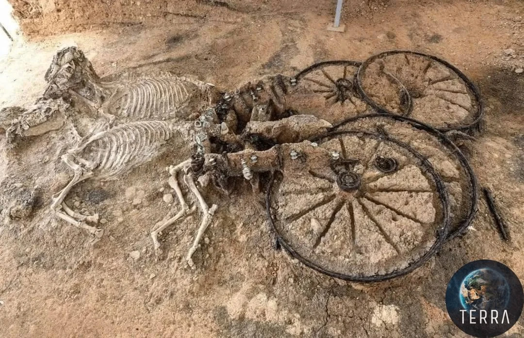 💀🐴 Этой деревянной колеснице около 2000 лет. Она была захоронена вместе с останками д...