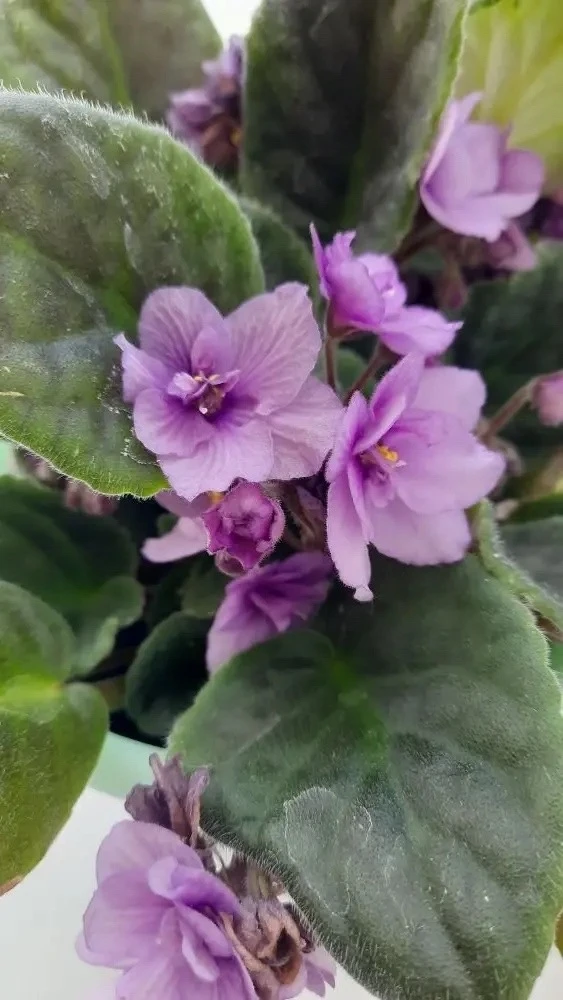 Ну что за красота?🌸 Находим яркое🌈