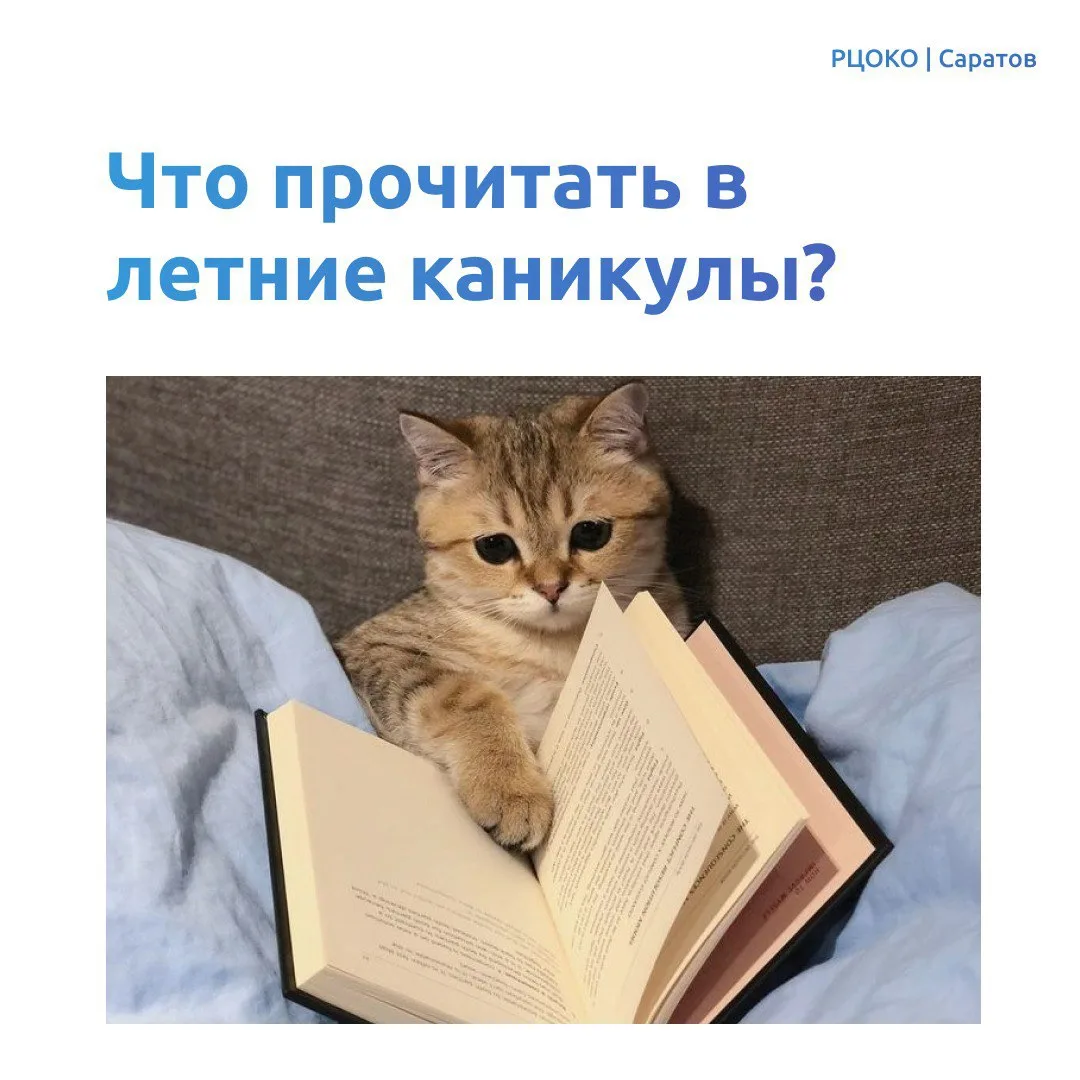 🔥 Лето – это пора солнца, путешествий и беззаботных дней. Но почему бы не совместить приятное с пол