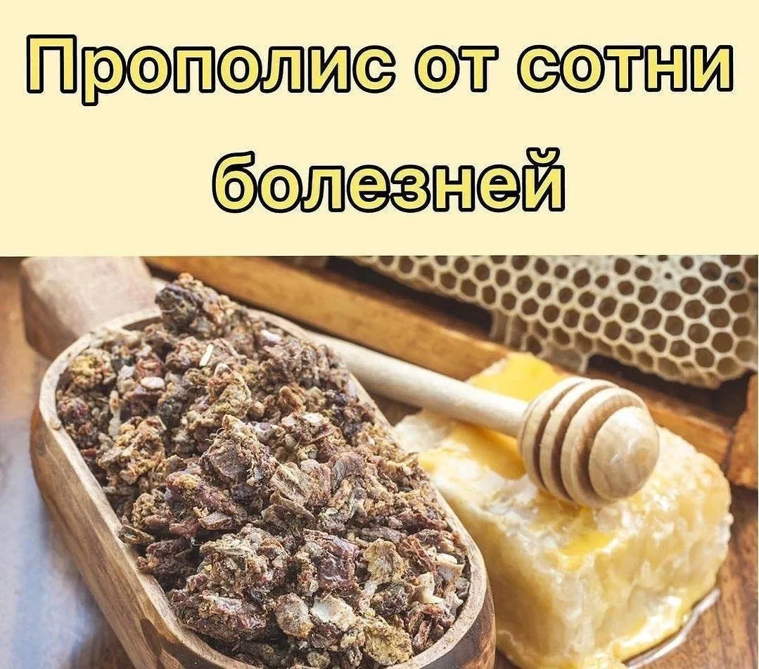 Прополис от болезней!
