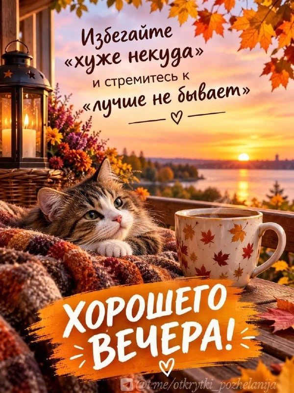 Открытки: подписаться ❤️