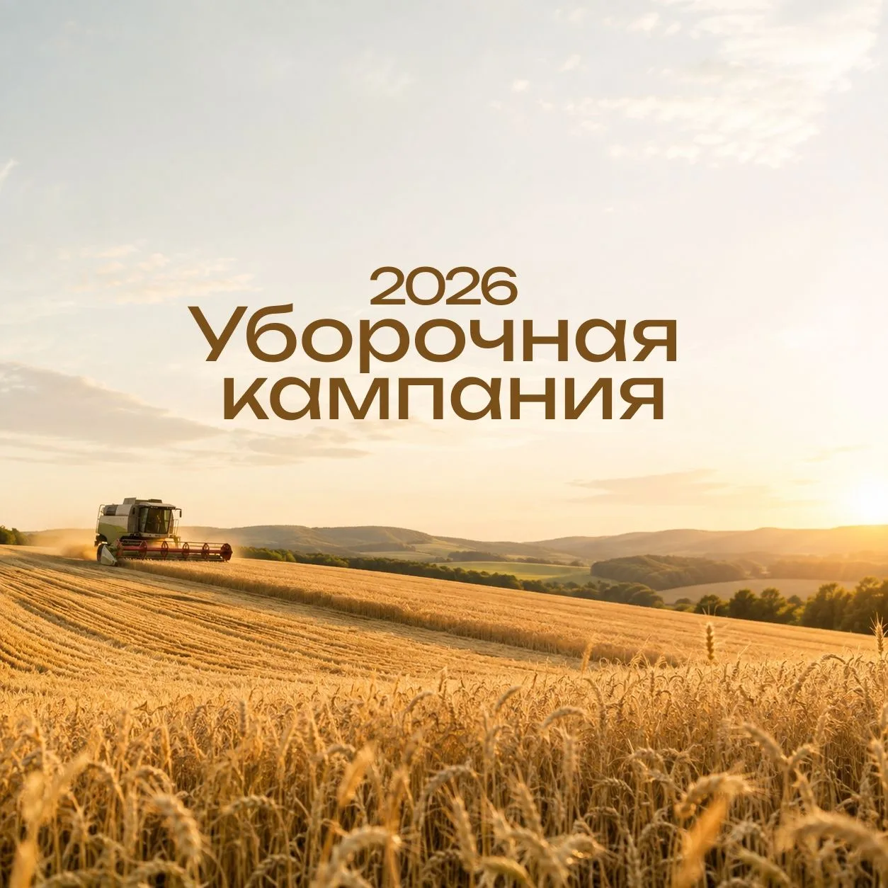 🌾 Уборочная кампания в республике идёт с опережением прошлогодних темпов. Главные цифр...