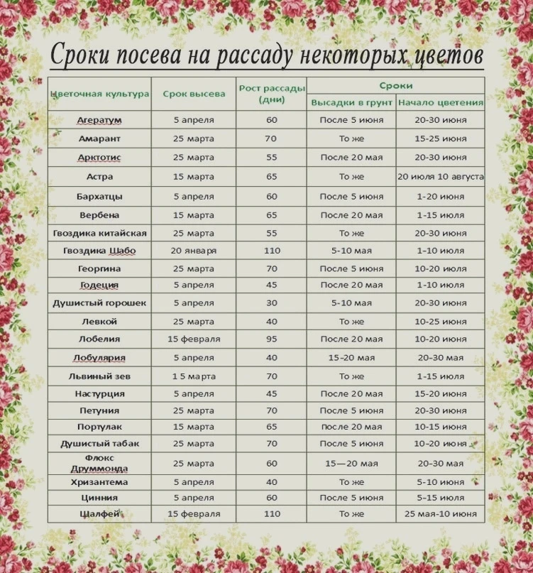 Полезная шпаргалка по цветам

НАШИ КАНАЛЫ:
Идеи для дачи
Моя любимая дача
Дачные заготовки
Открытки 