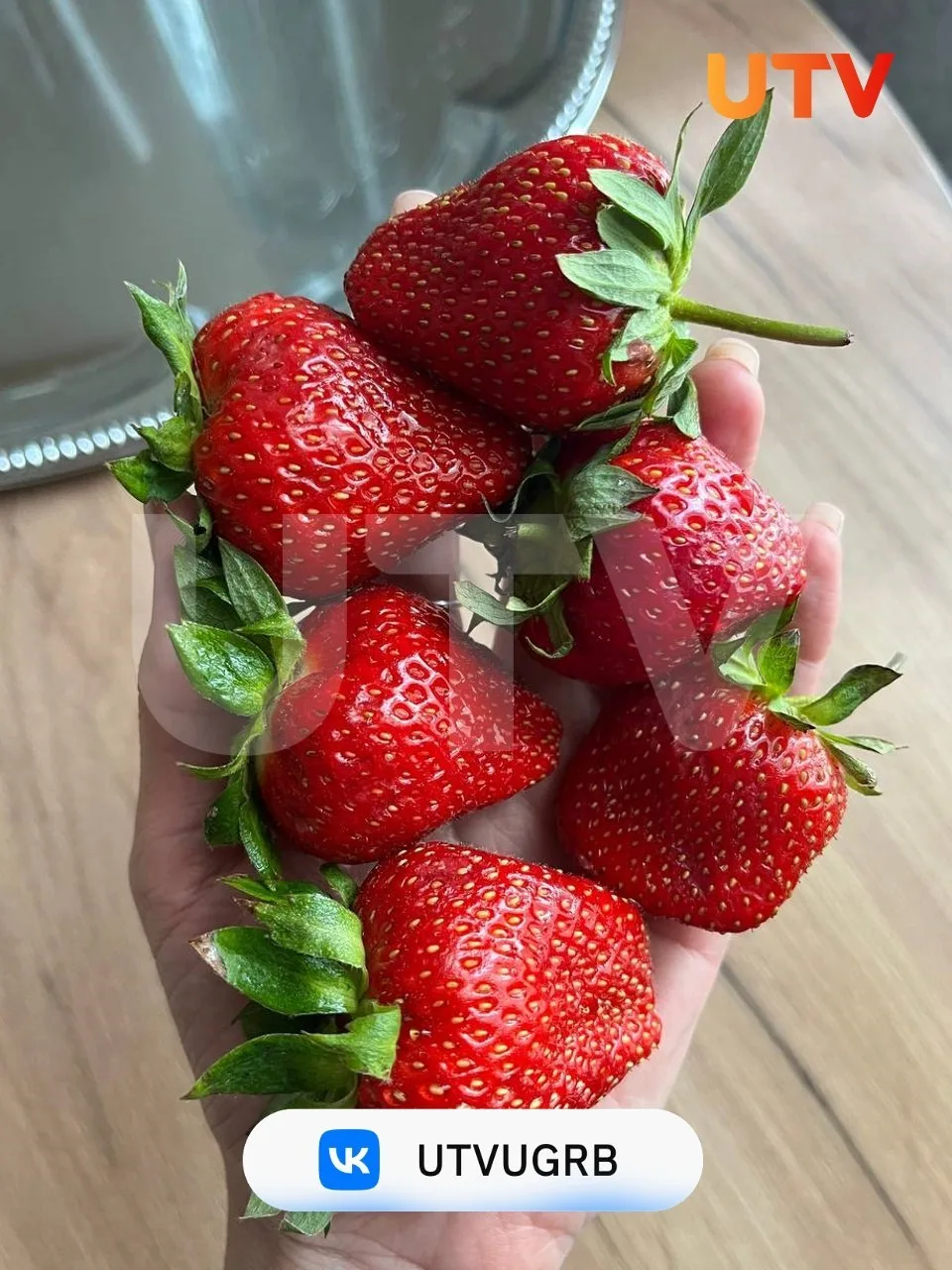 🍓 Роспотребнадзор даёт советы по выбору клубники

Важно: ягоды должны быть сухими, без гниения, с о