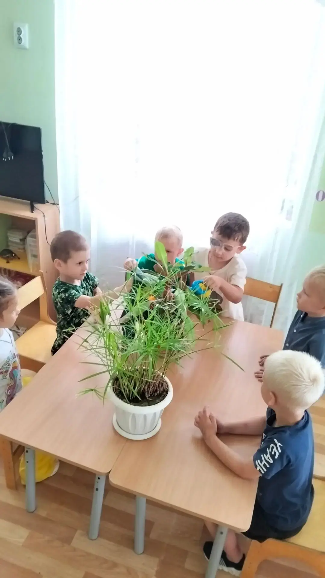 Ухаживаем за комнатными растениями!
