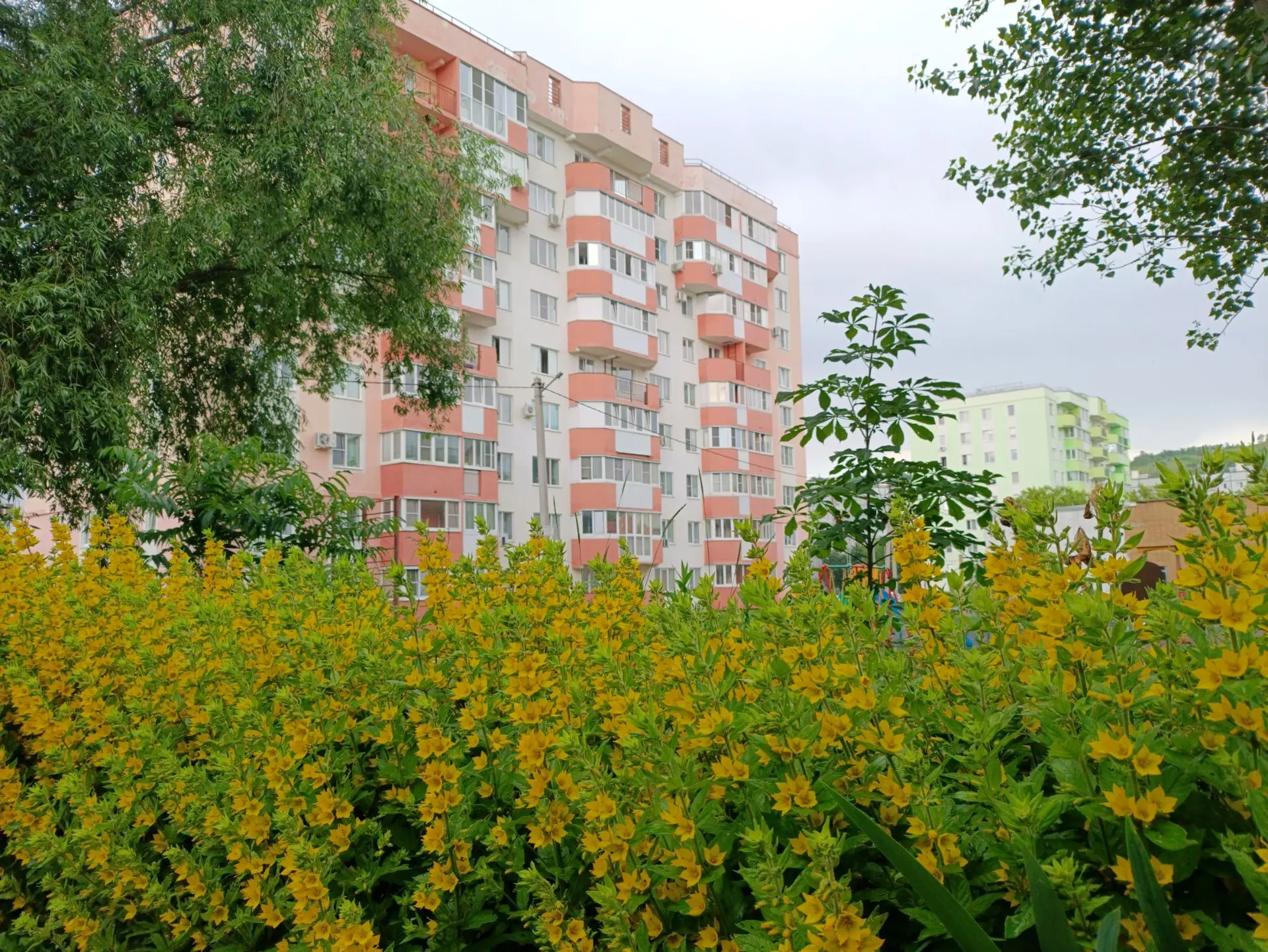 С добрым утром, город! ☀️🌿

Сегодня 15 июня, понедельник. Календарь напоминает, что началась новая 