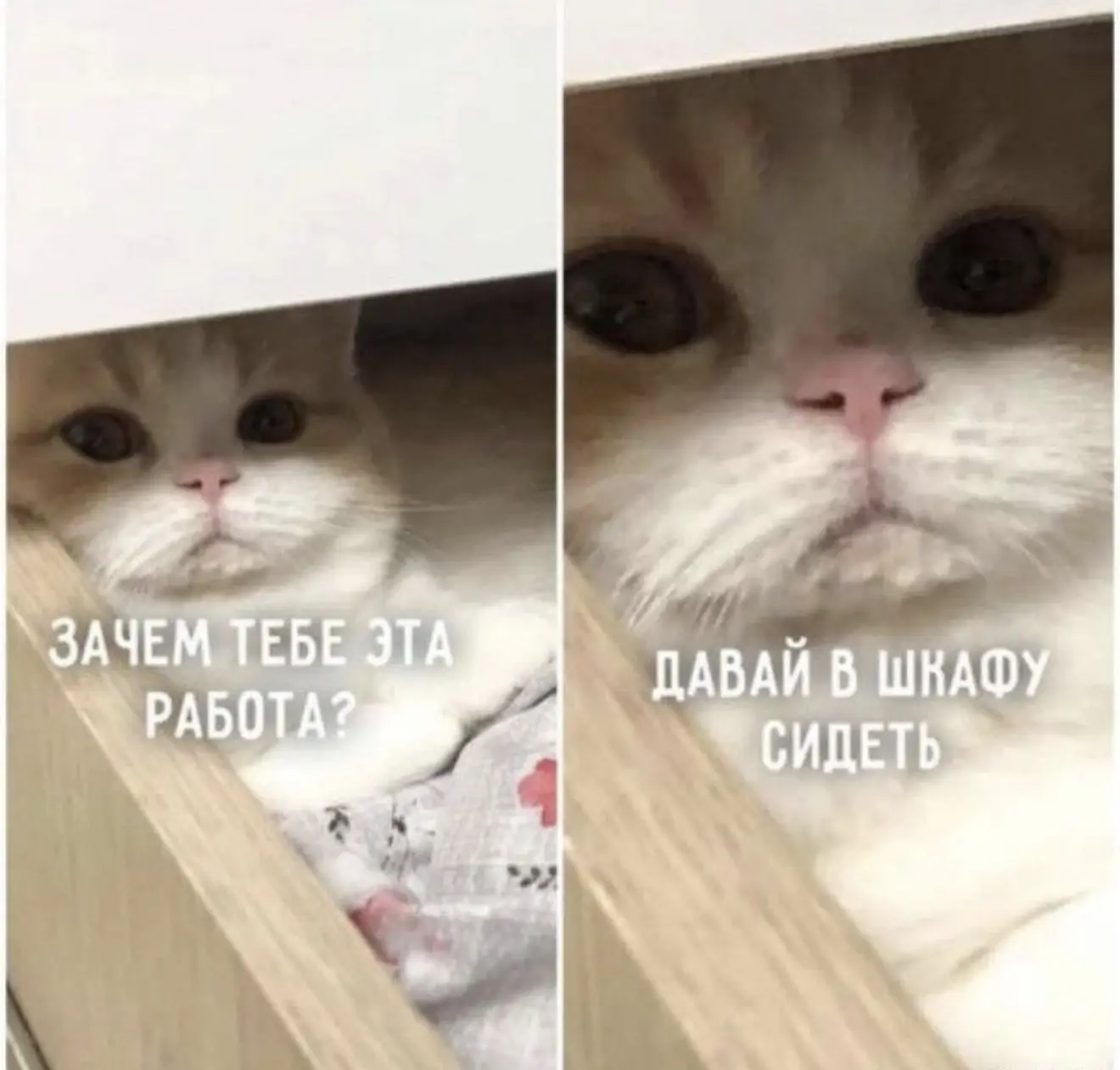 может прокатит?