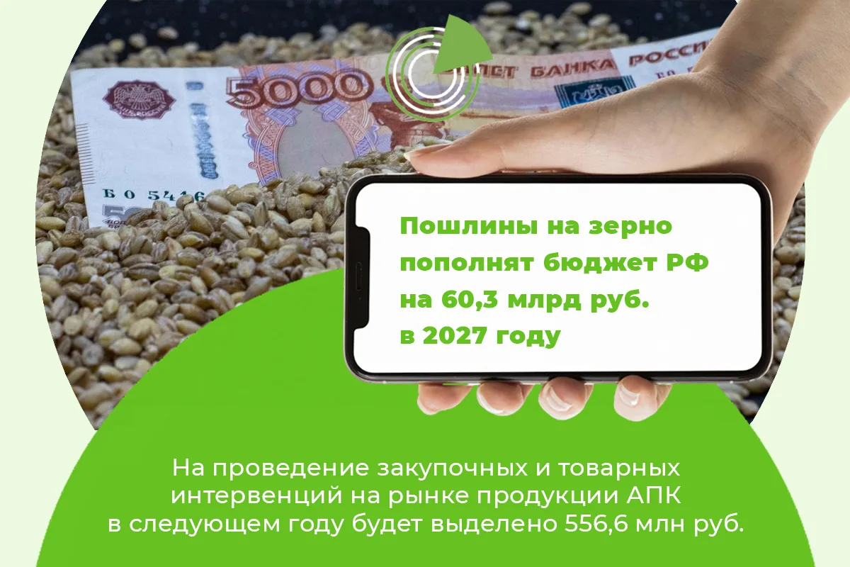 ПОШЛИНЫ НА ЗЕРНО ПОПОЛНЯТ БЮДЖЕТ РФ НА 60,3 МЛРД РУБ. В 2027 ГОДУ