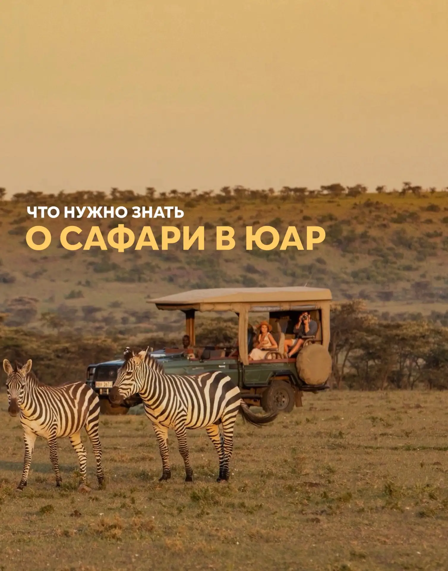 🐘 Чек-лист путешественника перед поездкой в ЮАР

ЮАР — это уникальная возможность увидеть настоящую
