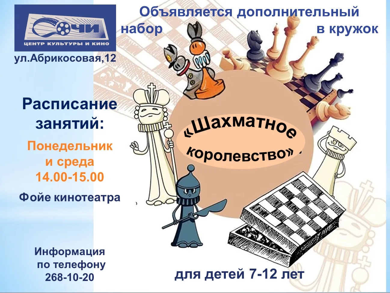Дополнительный набор в шахматный кружок