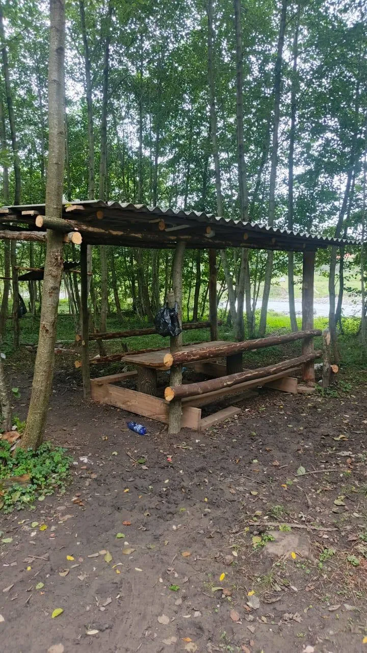 🌳 Один непотушенный костер — и лес может оказаться в огне.