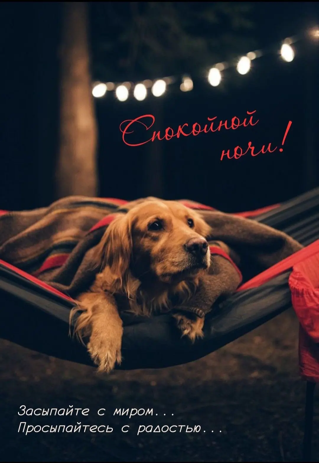 Красивые открытки❤️