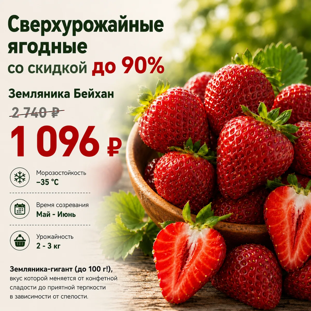 🍓 Плодоносят, пока вы не скажете: «Хватит!» Сверхурожайные ягодные со скидкой до 90%