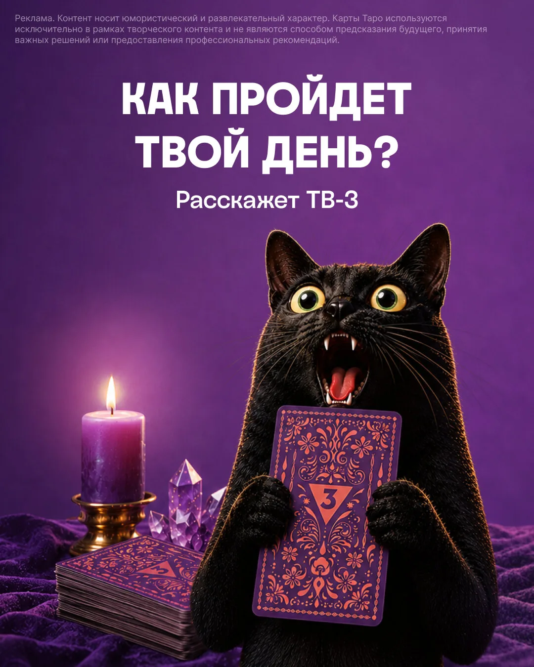Ежедневные советы — в MAX