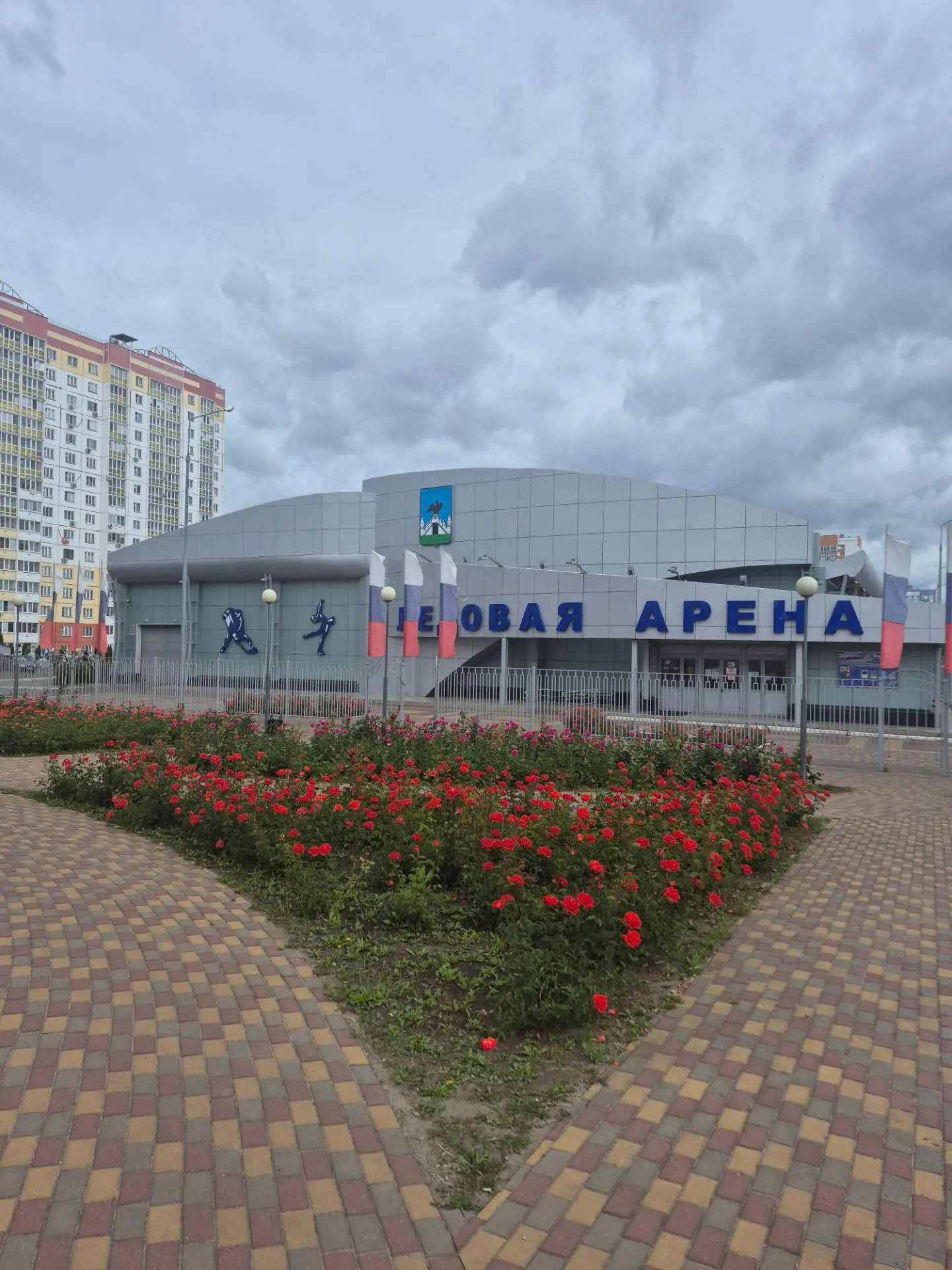 На ледовой арене СШ Ледовое поколение по адресу Зеленина 4, цыетут розы, красота!!!