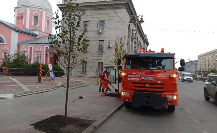 На главной улице Курска высадили ещё 18 молодых лип
