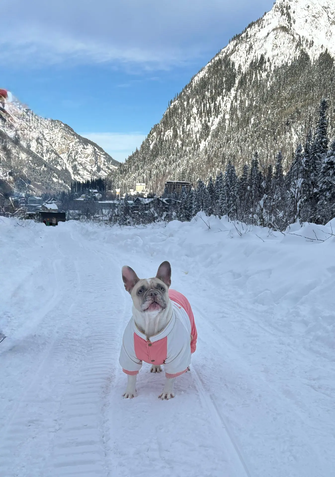 Привет! 6 января ДОМБАЙ для всех ❄️🚡🤳Легкий тур, настоящая зима в горах! Три горящих 🔥 местечка по 4