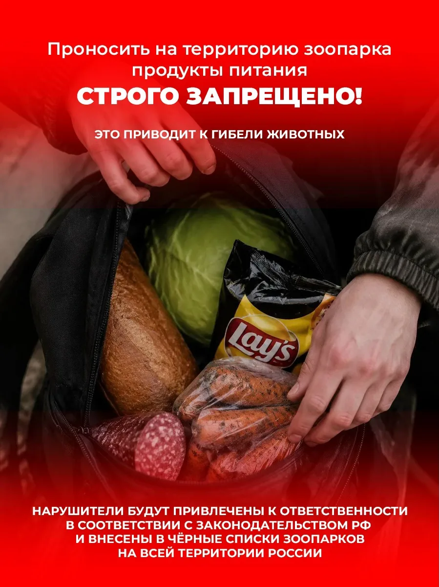Уважаемые посетители!