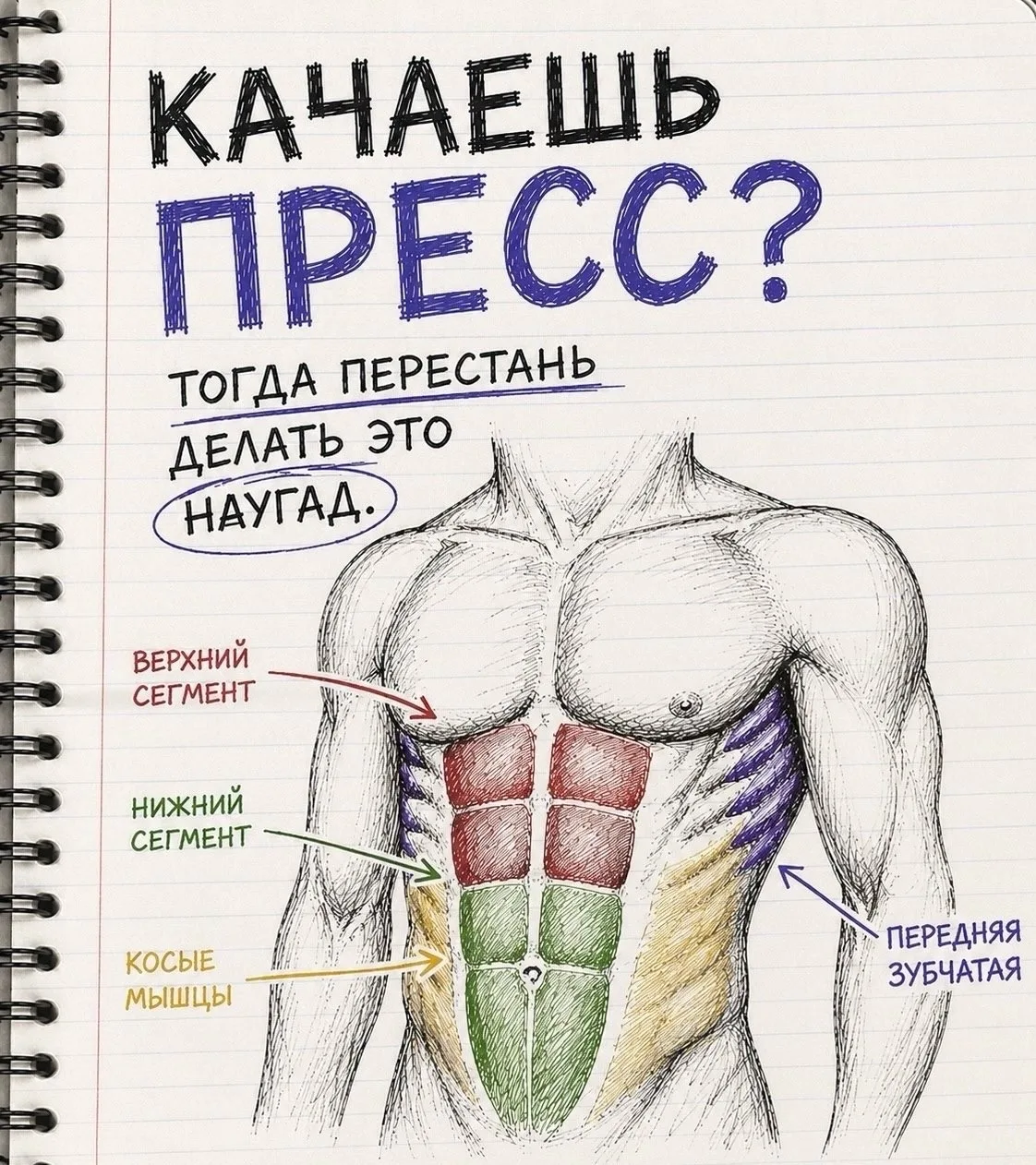КАЧАЕШЬ ПРЕСС? ТОГДА ПЕРЕСТАНЬ ДЕЛАТЬ ЭТО НАУГАД

Многие заходят в зал и начинают слепо делать сотни