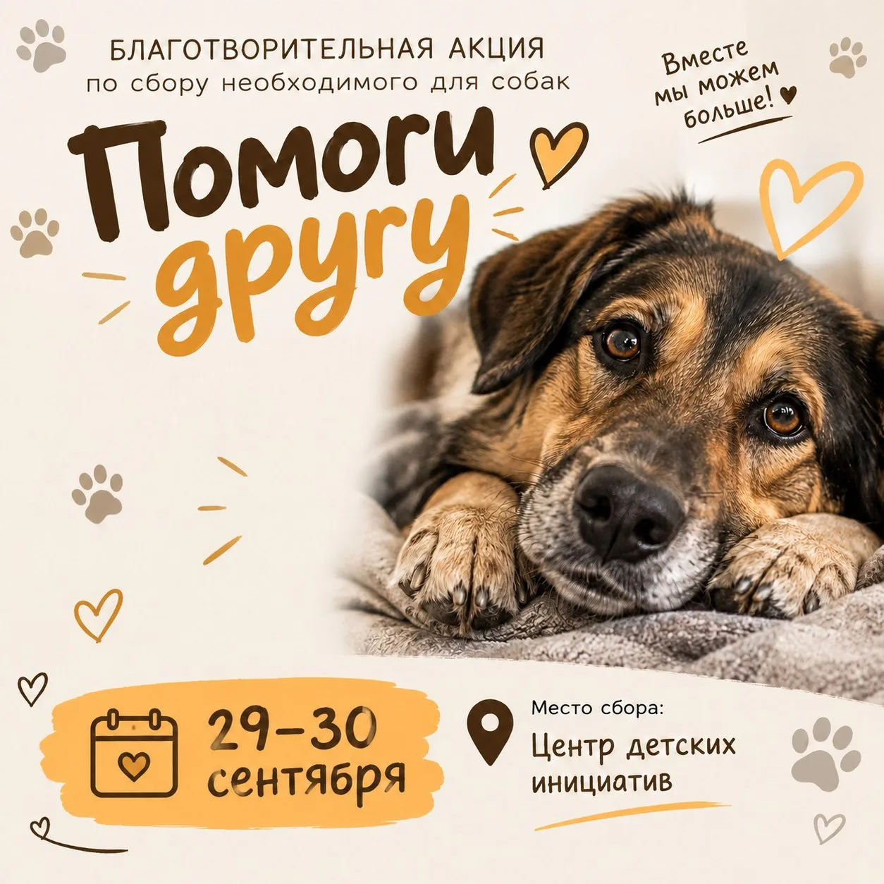🐾ПОМОГИ ДРУГУ🐾