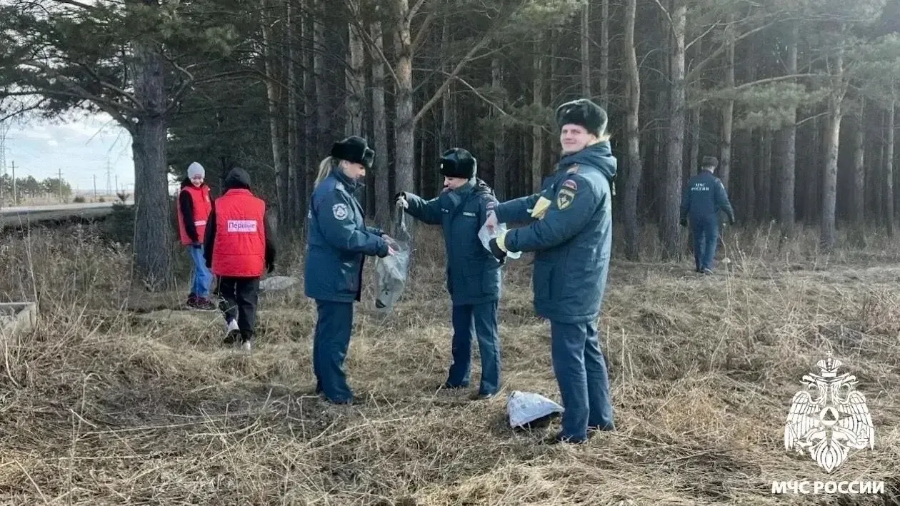 🌲 Лес — наше богатство.  🔥 Береги его от огня!  Эти слова знакомы каждому с детства.  Но, к сожалени
