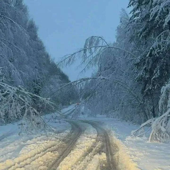 Первый снег добрался сразу до нескольких регионов России ❄️
