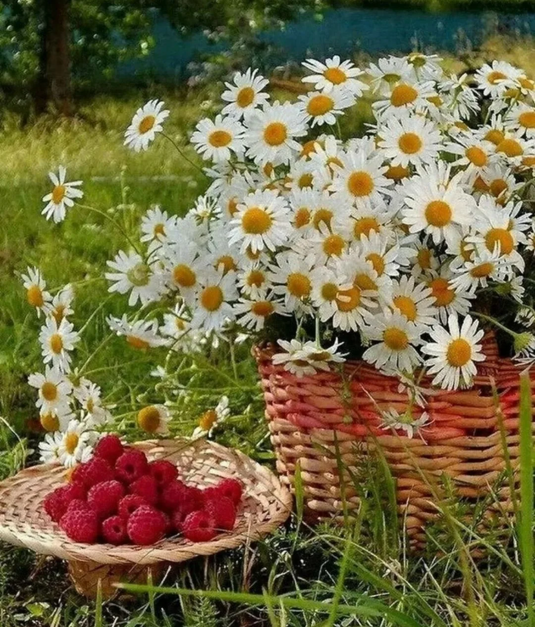 Мне нравится июньское меню.
Чего в нём только нет! Сто раз на дню
Поёт кукушка, дальний гром грохоче