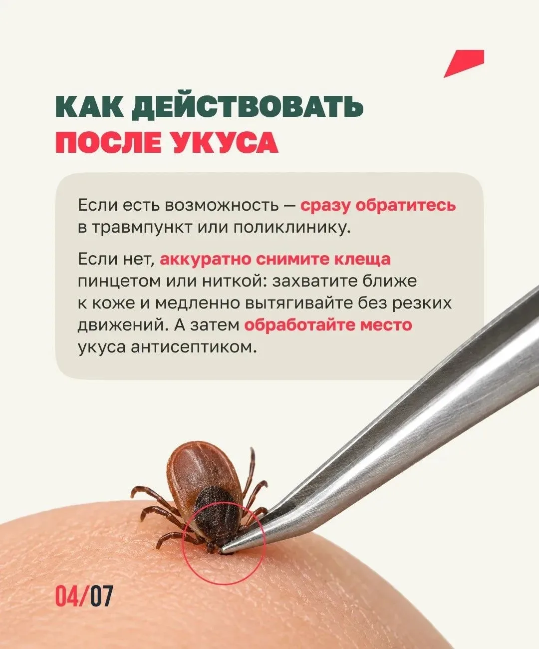 Клещи ближе, чем ты думаешь🕷️  Они обитают не только в лесу, но и на дачах, в парках и вдоль тропино