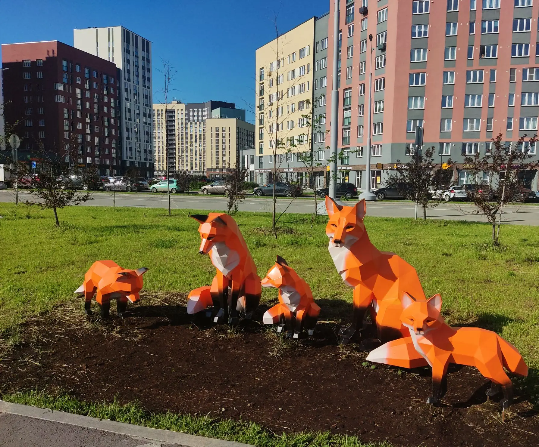 Смотрите, каких лисят я сегодня встретила во время велопрогулки 🦊😍