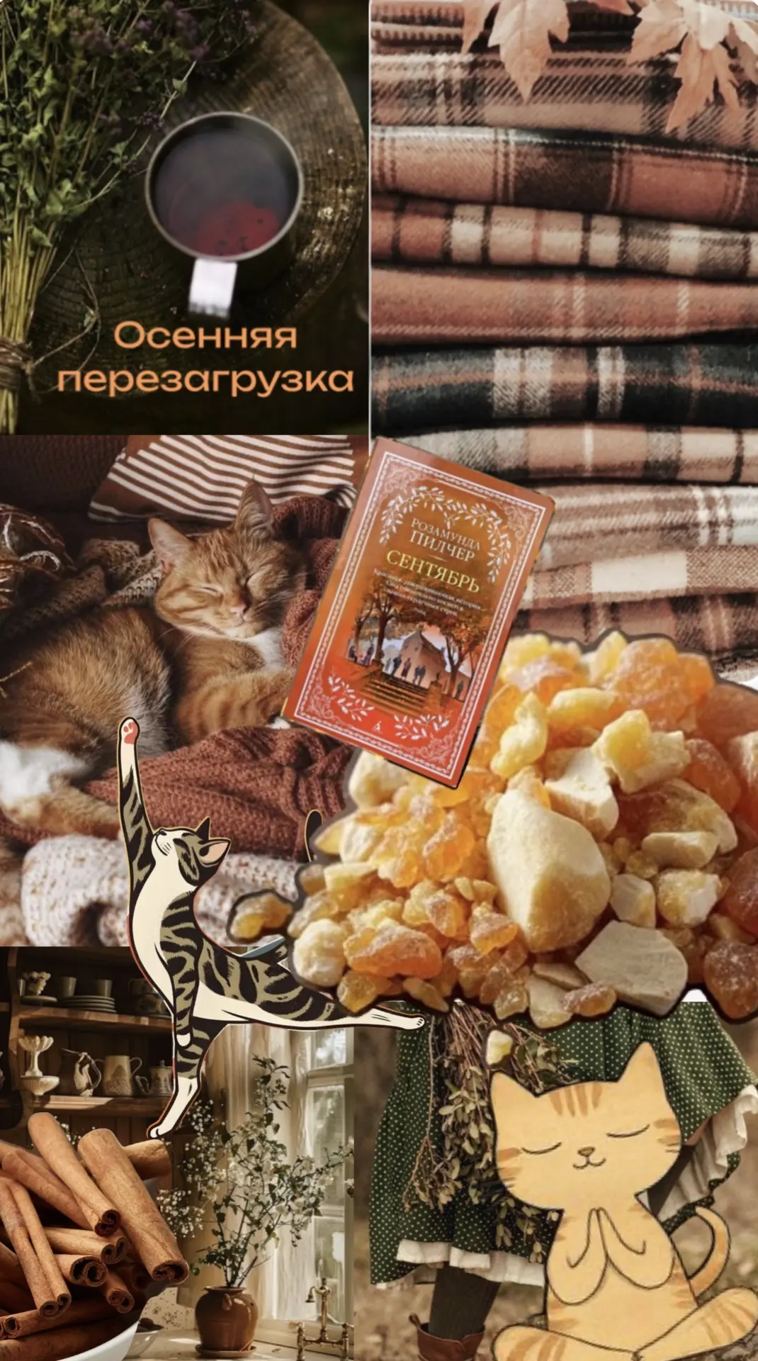 📝 Сегодня на улице уже витает дух осени, и сейчас идеальное время для того, чтобы оста...