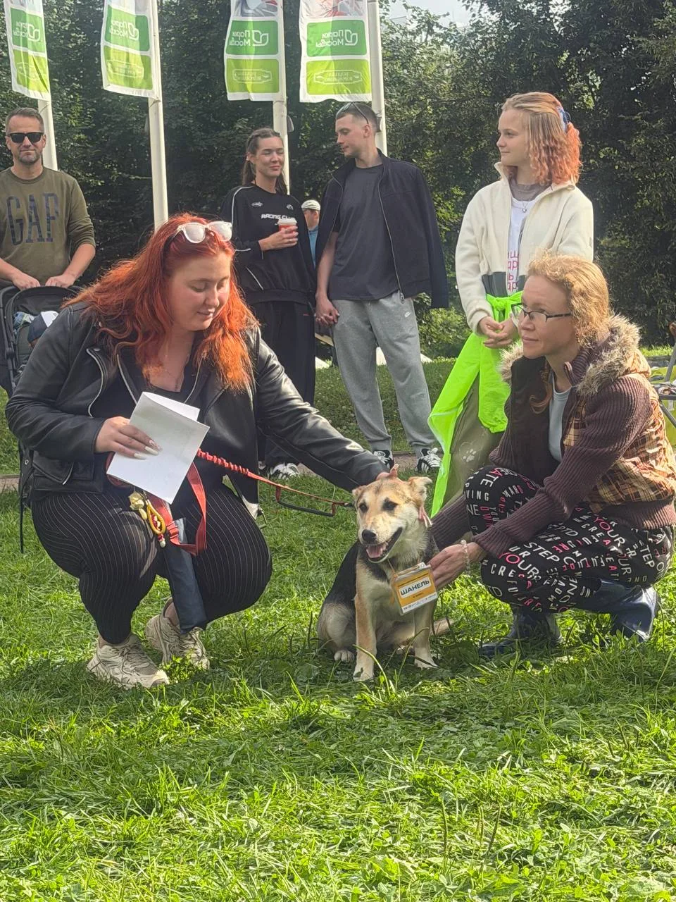 Ура! Полукорги Шанель получает подарки и едет домой!