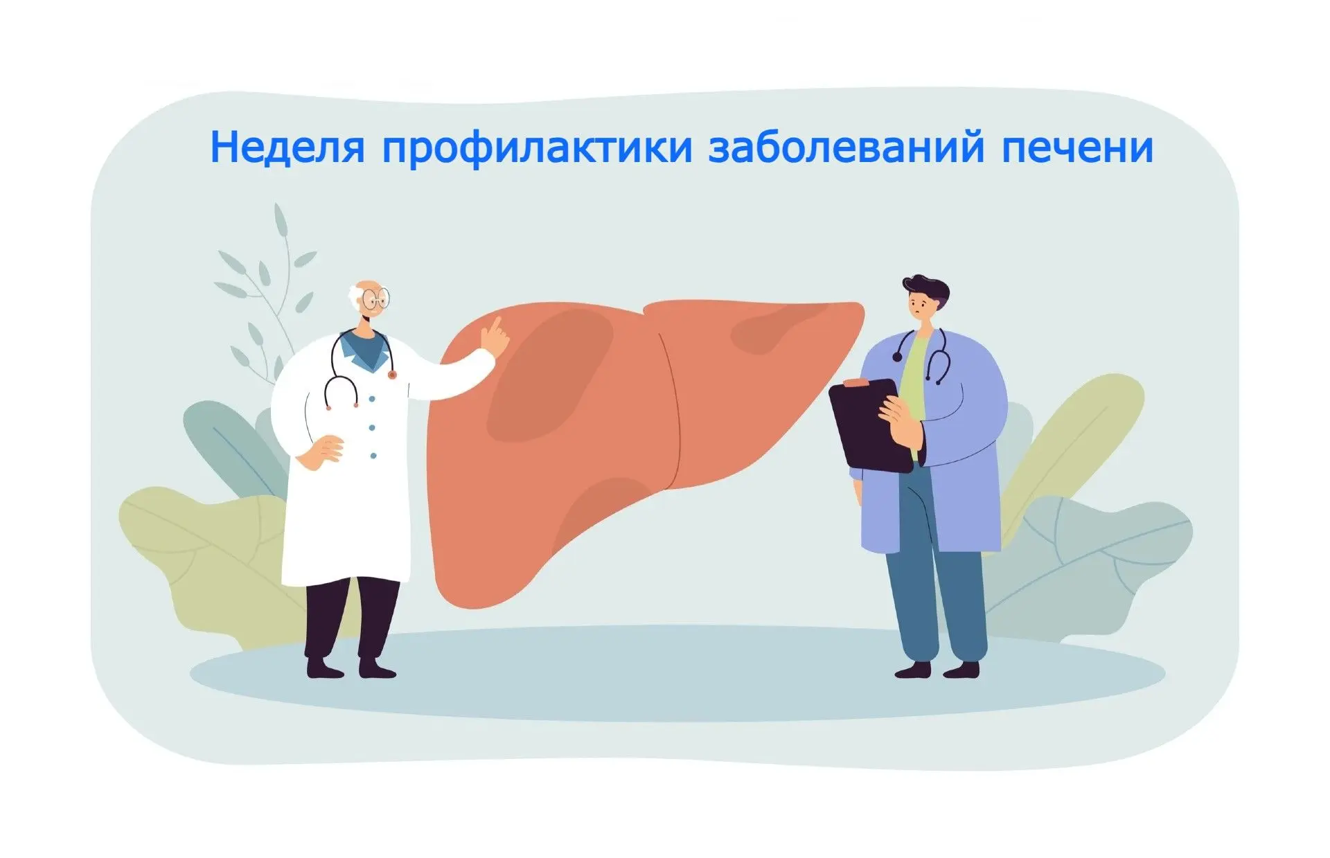 Печень выполняет в организме ключевые функции – участвует в обмене веществ, обезвреживает токсины, с