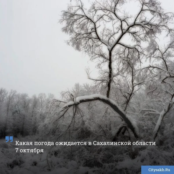 😱 Жителей северных районов Сахалинской области предупреждают об ураганном ветре и снеге.