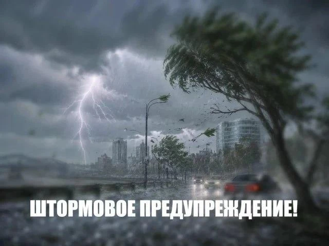 ⚡️⛈️Штормовое предупреждение! 🌂Сегодня и в выходные понадобится зонт.