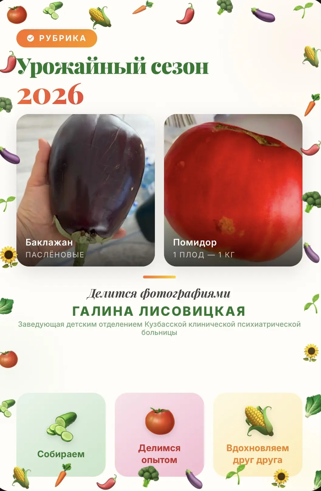 «Урожайный сезон — 2026»!