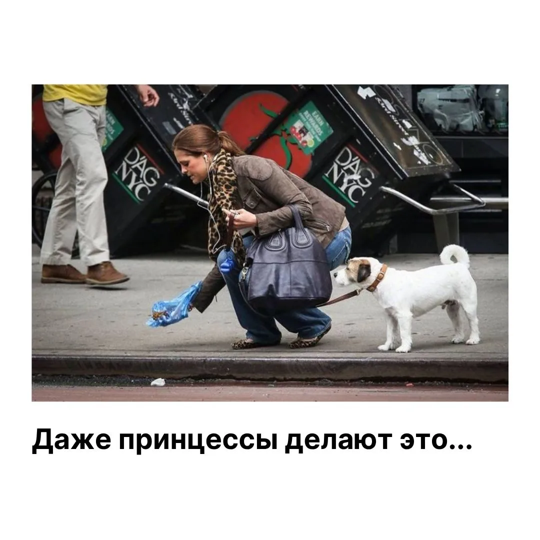 Уважаемые жители!

Интересный факт 👇
Даже Кронпринцесса Виктория во время прогулок сама убирает за 