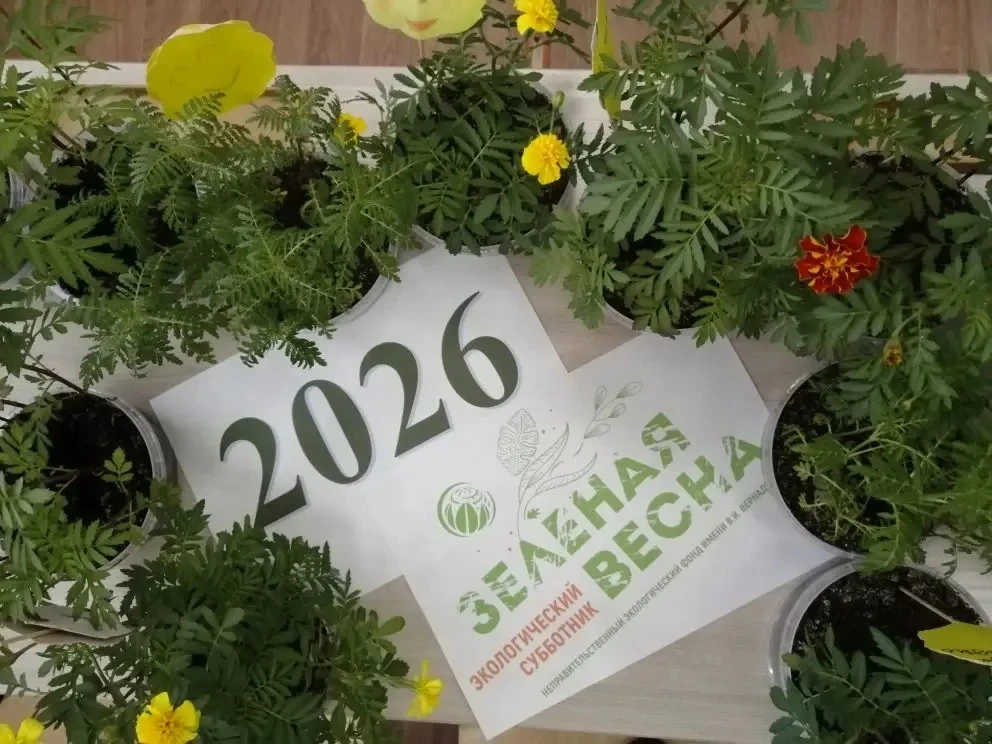 ▌ 🌿 Орлята 2А класса — за чистую и зелёную школу!