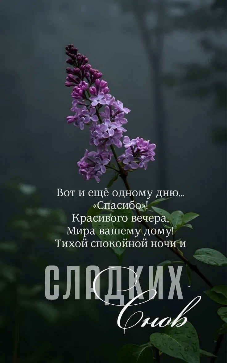 Открытки любимым 🌸🥰