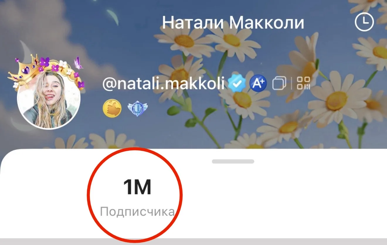 А у меня в Лайке стукнул млн 🍋