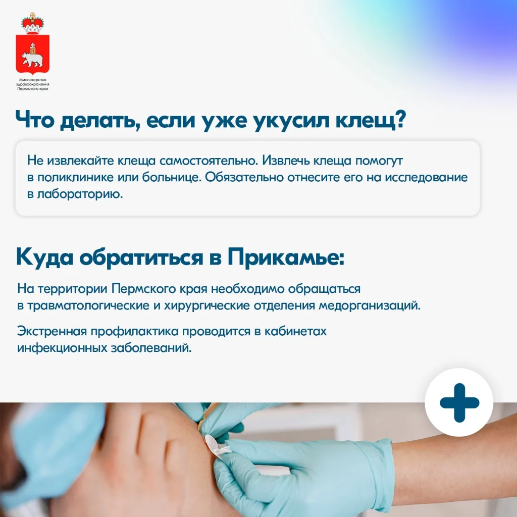 Краснокамск | мкр.Закамск | Пермь🏡

Свыше 15 тысяч жителей Прикамья обратились за медицинской помощ