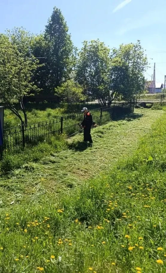 Важным мероприятием благоустройства территории является своевременный и регулярный поко...
