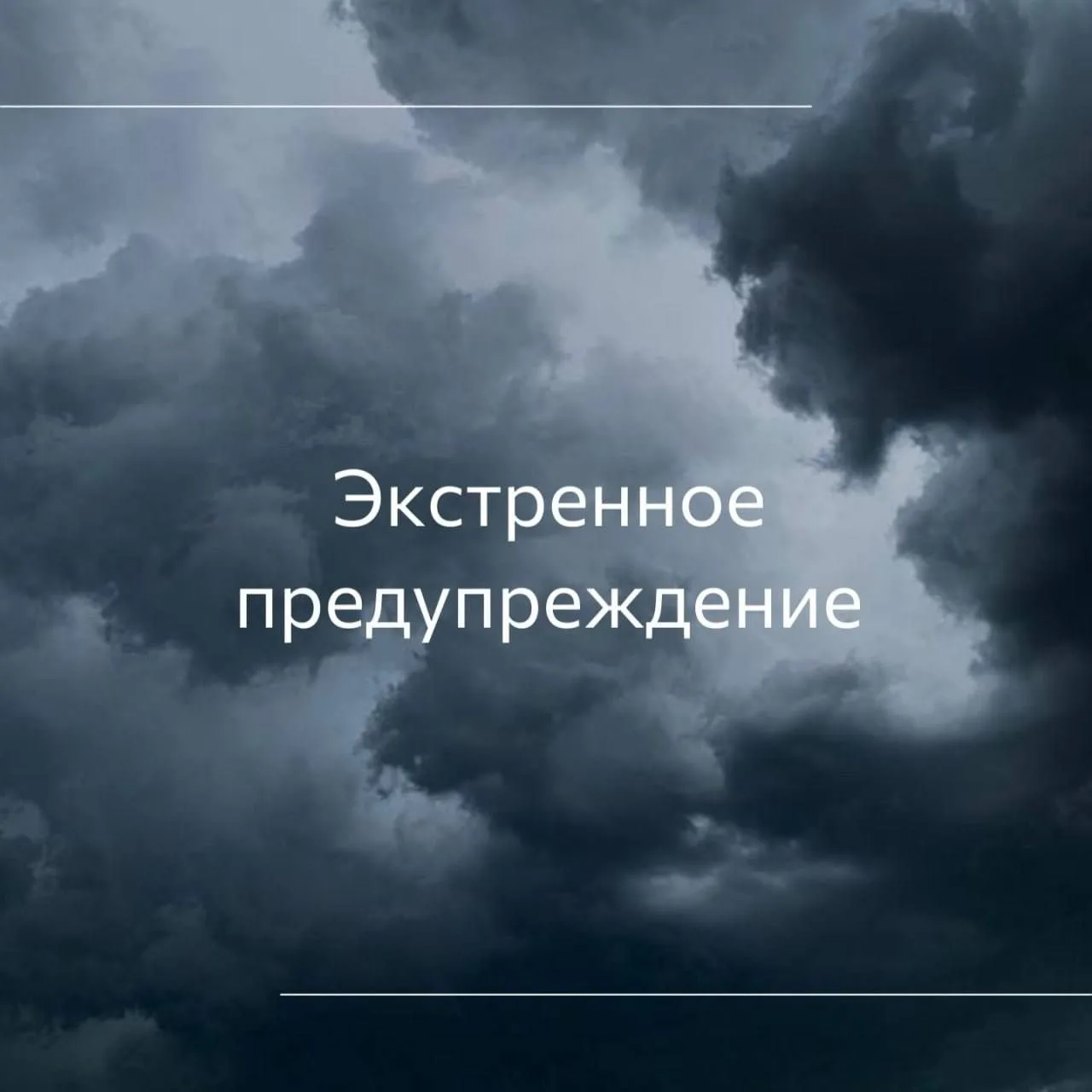 ❗️Уважаемые граждане – владельцы животных и птицы.