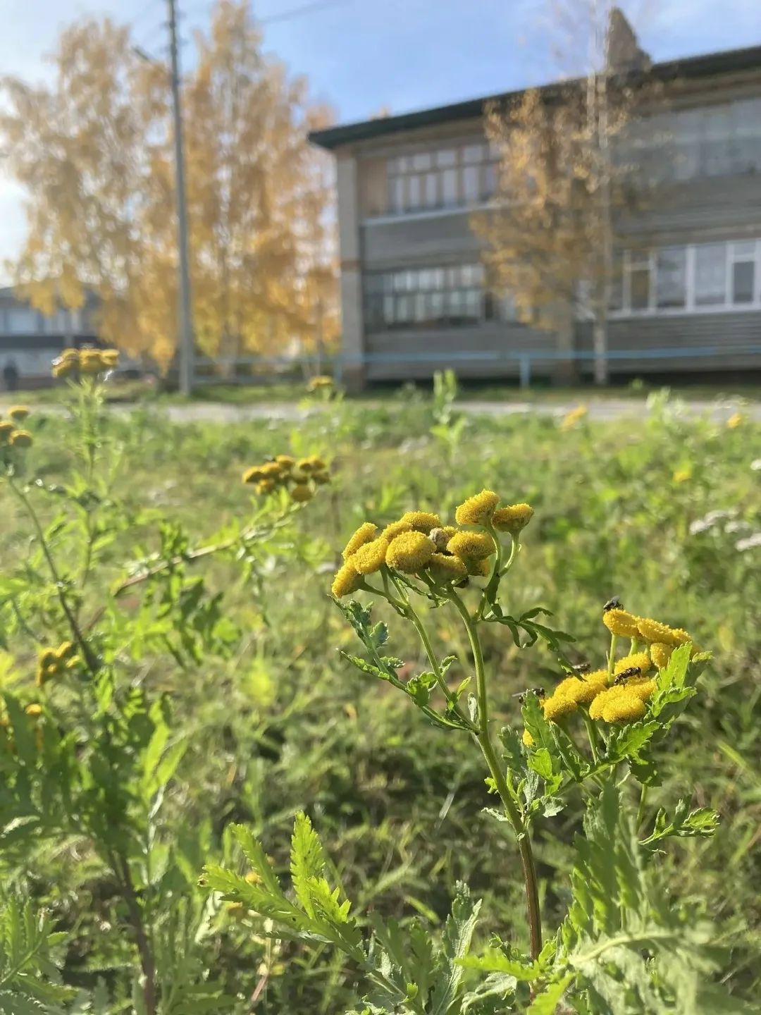 СТРЕЖЕВСКИЕ ЗАРИСОВКИ 📸👍