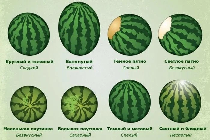 Скоро сезон арбузов, сохраняйте чтобы не забыть 🍉