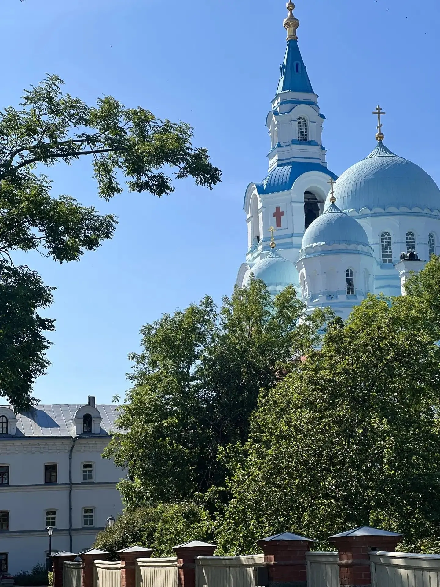 Знаете ли вы, что на Валааме сосны цепляются корнями за голые скалы, а над Ладогой поро...