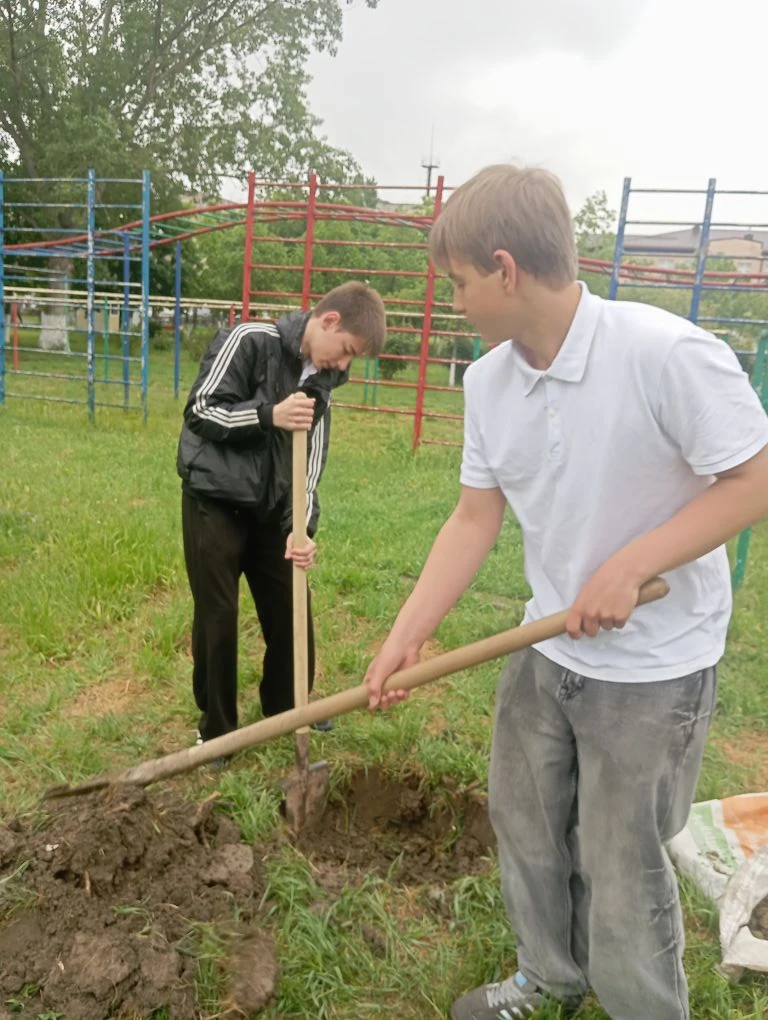 🌳 Продолжая традиции! 🌳  В рамках доброй традиции, выпускники 9"Вл" класса посадили деревья 🌲🌲🌲 на т