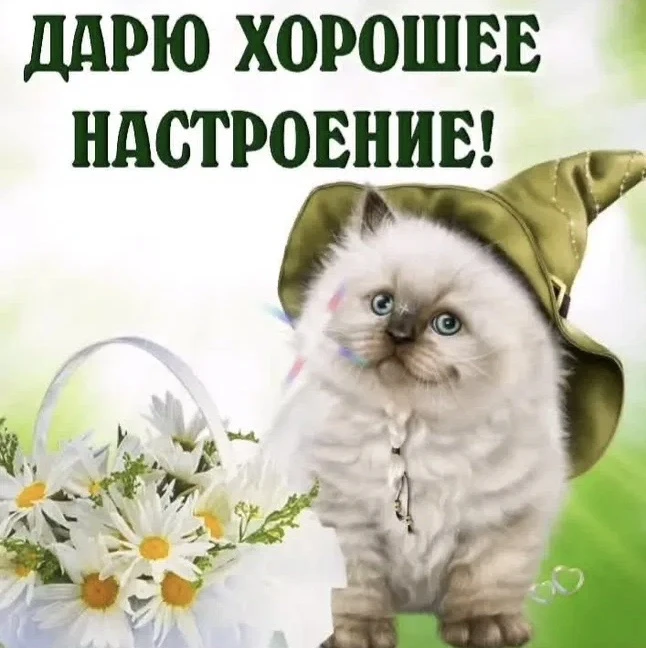Больше открыток тут👇