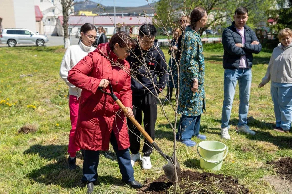 🌳 Коллектив детской областной больницы присоединился к озеленению Южно-Сахалинска  На территории мед